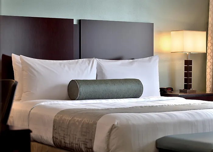 Hotel Western Downtown-river North 3*